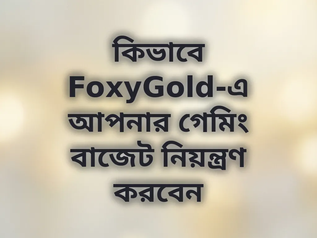 বাজেট প্ল্যান